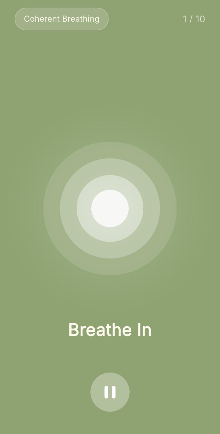 BreathSync app dashboard showing breathing circle, stats, and technique cards